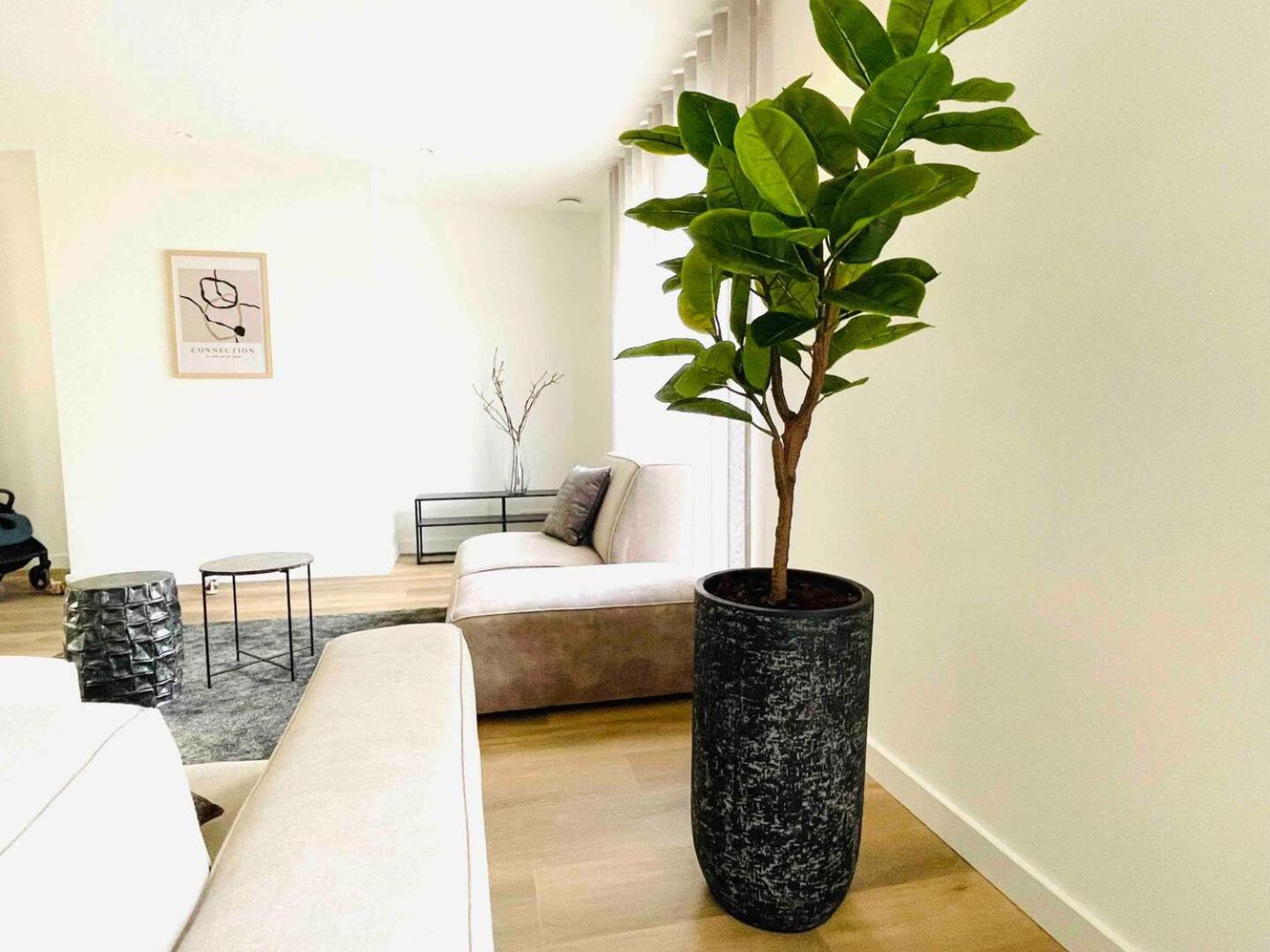 New Apartment In City Centre Large オイルスコート エクステリア 写真
